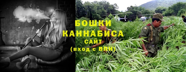 гидра Лихославль