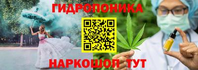 хмурый Гусь-Хрустальный